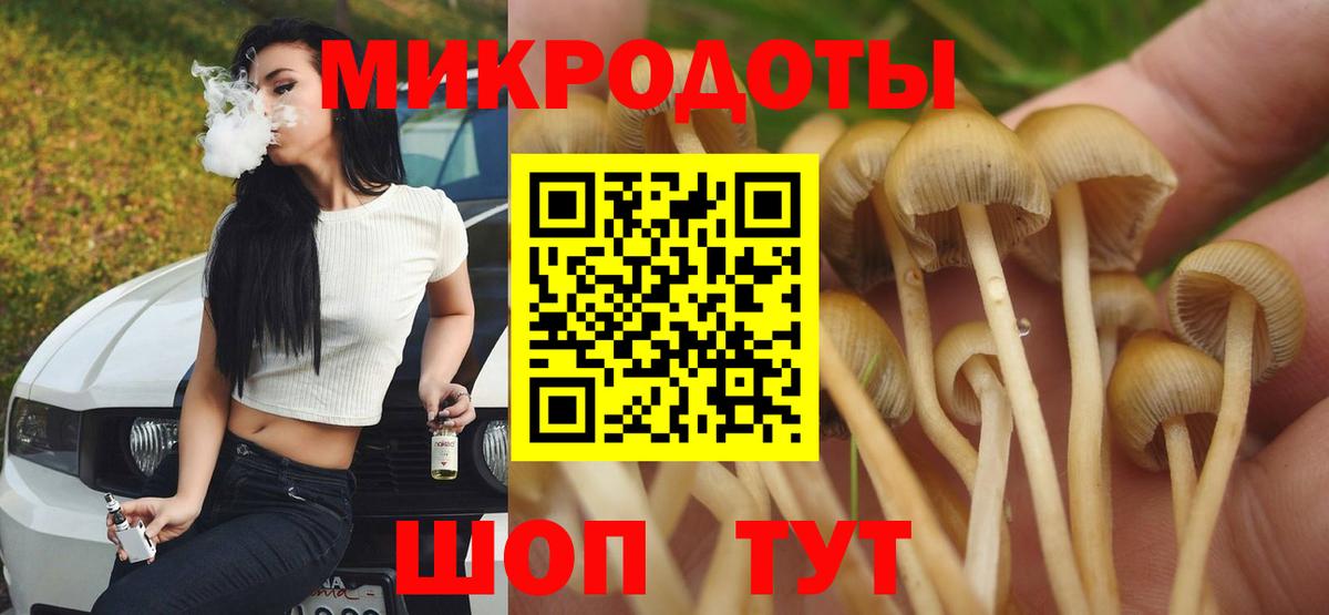 Кубинка  Псилоцибиновые грибы MAGIC MUSHROOMS  Вход с VPN 